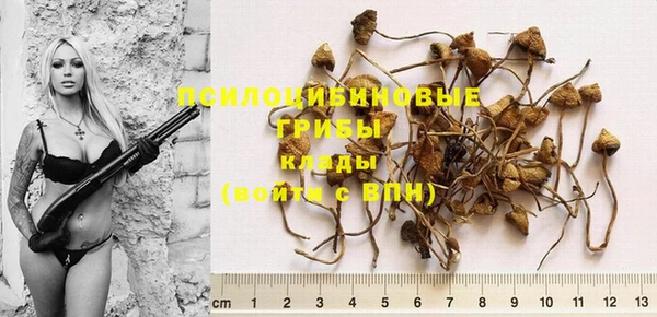 дмт Снежинск