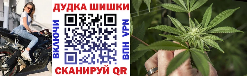 Канабис план  Купить  Щёкино 